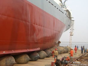 牛下水報(bào)價(jià) 廠(chǎng)家